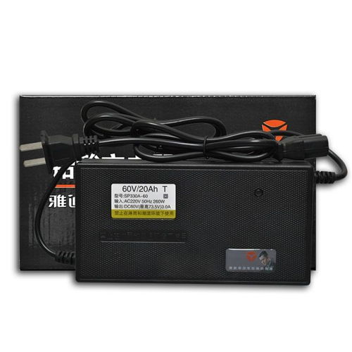 原裝正品電動車電瓶充電器60v20ah48v20ah72v20ah36v原廠